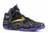 Lebron 11 Bhm Vnm Purple Anthracite Gold Metallic 646702-001