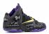 Lebron 11 Bhm Vnm Purple Anthracite Gold Metallic 646702-001