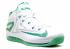 Max Lebron 11 Low Easter Green White Ltlcd Lcd Metallic 642849-100