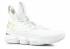 Lebron 15 Equality PE 白金金屬色 897648-101