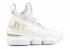 Lebron 15 Equality PE 白金金屬色 897648-101