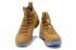 Nike Zoom Lebron XV 15 EP LBJ15 Bronze Gold 897649-500