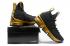 Nike Zoom Lebron XV 15 EP LBJ15 Champion Black Gold AJ1754-006