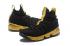 Nike Zoom Lebron XV 15 EP LBJ15 Champion Black Gold AJ1754-006