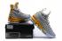 Nike Zoom Lebron XV 15 EP LBJ15 Grå Gul 897648-705