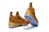 Nike Zoom Lebron XV 15 男子籃球鞋棕藍色