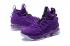 Мужские баскетбольные кроссовки Nike Zoom Lebron XV 15 Deep Purple All Special