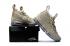 Pánské basketbalové boty Nike Zoom Lebron XV 15 světle hnědá modrá