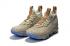 Pánské basketbalové boty Nike Zoom Lebron XV 15 světle hnědá modrá
