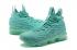 Nike Zoom Lebron XV 15 Pánské basketbalové boty Mint All