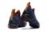 Pánské basketbalové boty Nike Zoom Lebron XV 15 Purple Red