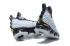 Pánské basketbalové boty Nike Zoom Lebron XV 15 Silver Black Special