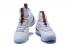 Pánské basketbalové boty Nike Zoom Lebron XV 15 White Deep Red Special