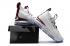 Pánské basketbalové boty Nike Zoom Lebron XV 15 Wine Red White