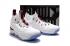 Pánské basketbalové boty Nike Zoom Lebron XV 15 Wine Red White
