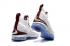 Pánské basketbalové boty Nike Zoom Lebron XV 15 Wine Red White