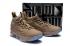 Dámské basketbalové boty Nike Zoom Lebron XV 15 Deep Brown
