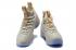 Nike Zoom Lebron XV EP LBJ15 Black White Champagne 897649-200