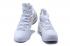 Nike Zoom Lebron XV EP LBJ15 White Gold 897649-107
