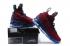 Nike Zoom Lebron XV EP LBJ15 Vino Azul 897649-604