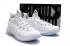 Nike Zoom Lebron XV 15 Low Men Basketball Shoes Hot All White