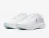 Жіночі кросівки Nike Air Zoom Pegasus 37 White Metallic Silver BQ9647-101