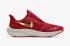 Nike Air Zoom Pegasus Flyease By You 訂製多色 DO7436-900