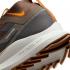 Nike React Pegasus Trail 4 GORE-TEX Anthracite Ale Brown FD5841-001