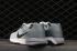 Nike Air Zoom Structure 21 Platinum Antraciet 904695-005