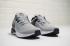 Nike Air Zoom Structure 22 Wolf Gris Negro Blanco AA1636-010