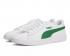 Puma Smash V2 Leather L Tênis Branco Verde Sapatos Casuais 365215-03