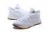 UA Curry 5 Under Armour Curry 5 Wit 3020657-101