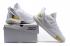 UA Curry 5 Under Armor Curry 5 White Gold 3020657-100