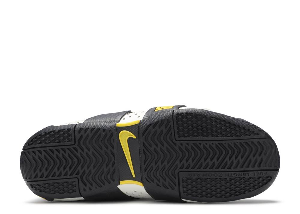 Nike lebron 20.5.5 outlet