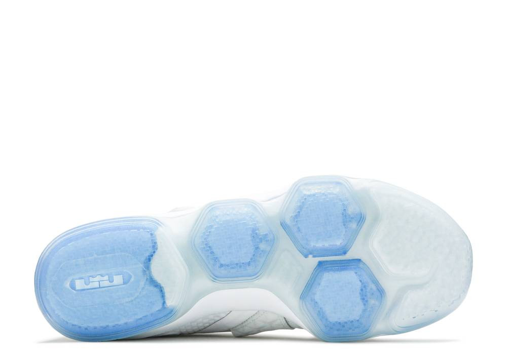 Nike lebron 14 outlet bleu