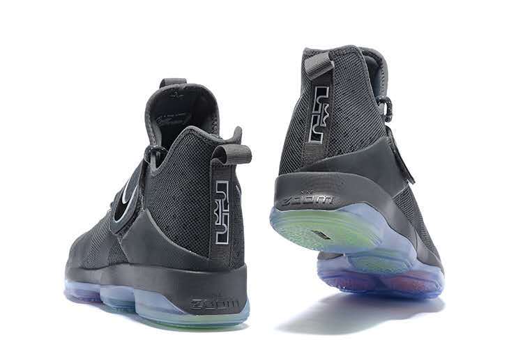 Nike lebron xiv lmtd top